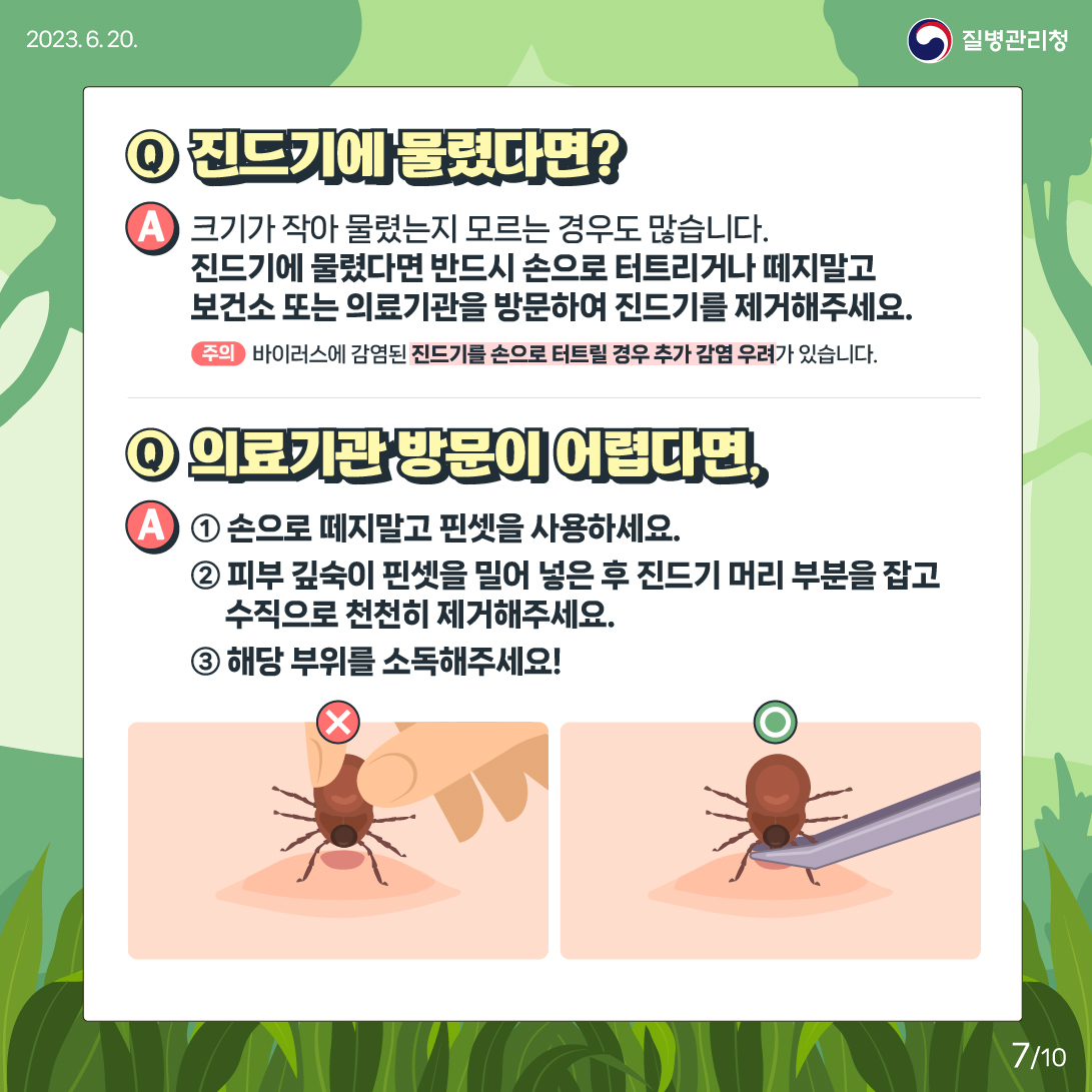 지금 우리가 알아야 하는 질병이야기 #1 진드기 매개6
