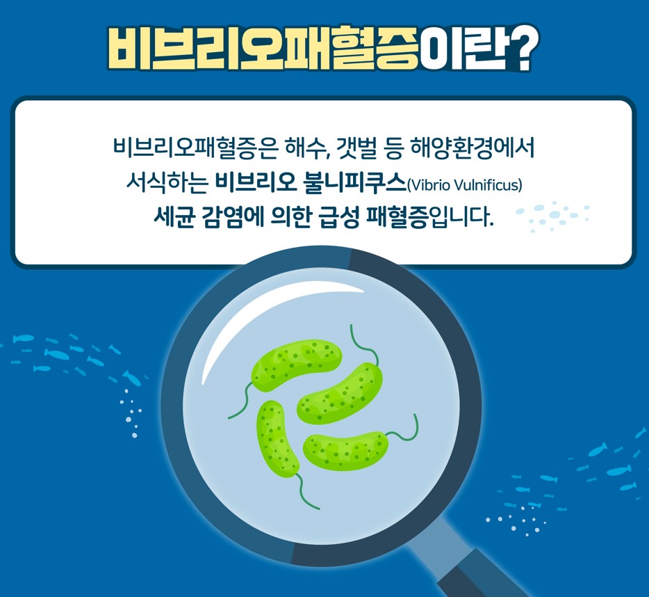 지금 우리가 알아야 하는 질병이야기 # 3 비브리오패혈증1