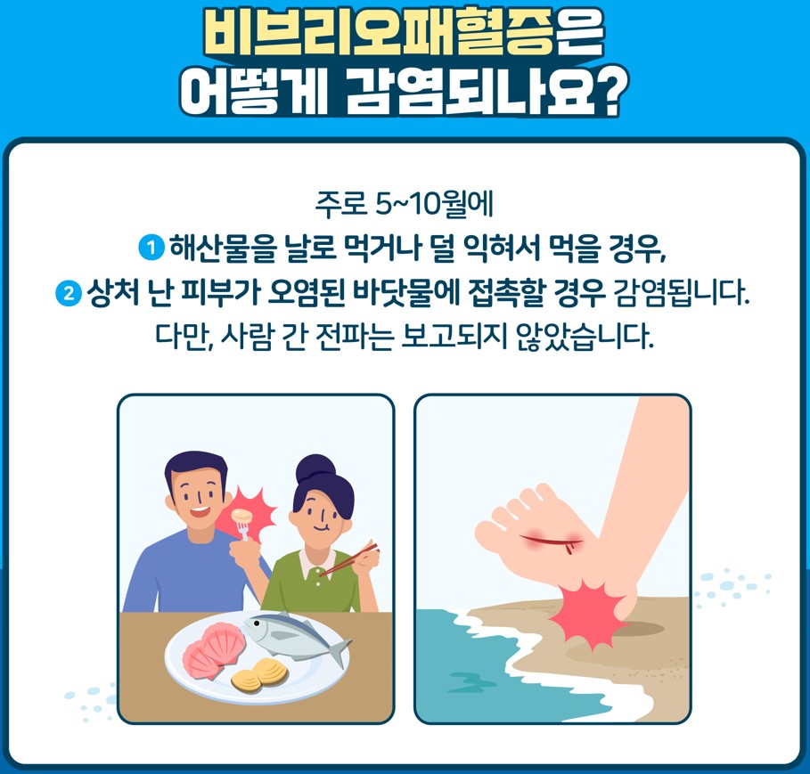 지금 우리가 알아야 하는 질병이야기 # 3 비브리오패혈증2