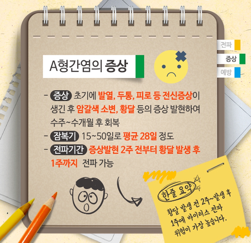 지금 우리가 알아야 하는 질병이야기 #5 A형간염2