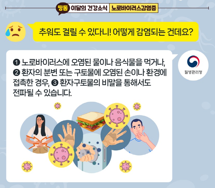 지금 우리가 알아야 하는 질병이야기 #6 노로바이러스감염증2