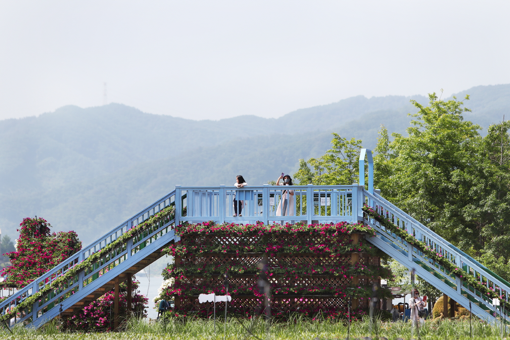 자라섬 남도 꽃정원 개방1