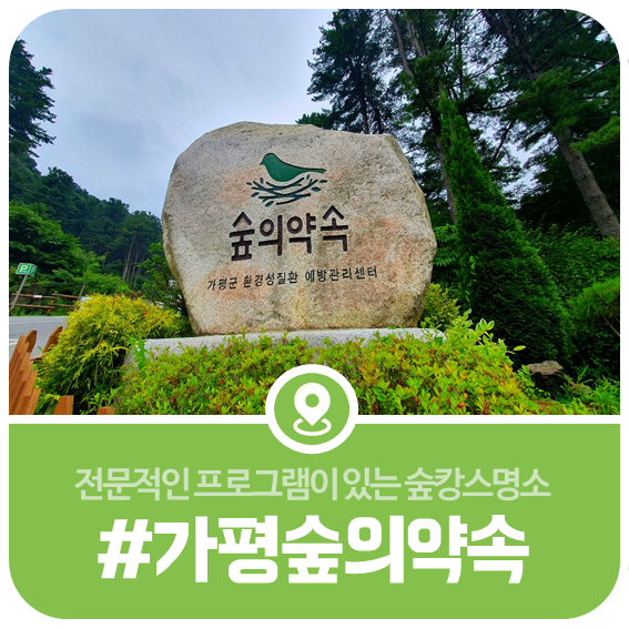 가평 숲의약속 - 전문적인 프로그램이 있는 숲캉스명소 이미지