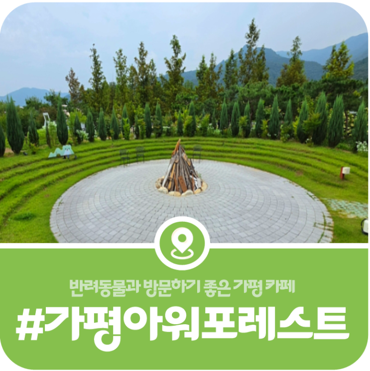 [가평 아워포레스트] 반려견과 함께 여행 중인 분들이라면 꼭 알아두어야 할 반려동물 친화 카페 아워포레스트(2026) 이미지