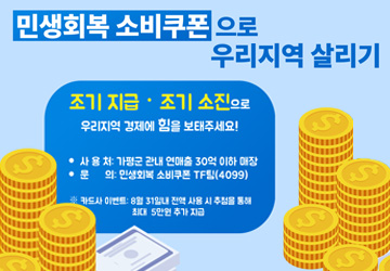 민생회복 소비쿠폰 안내