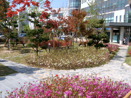 군청내 소공원 개방 이미지