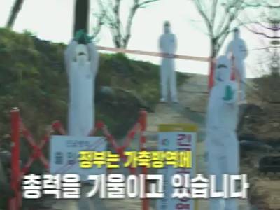 고병원성 조류인플루엔자 방역 홍보 영상 이미지