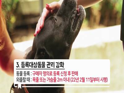 동물보호법 개정 시행 홍보동영상 이미지