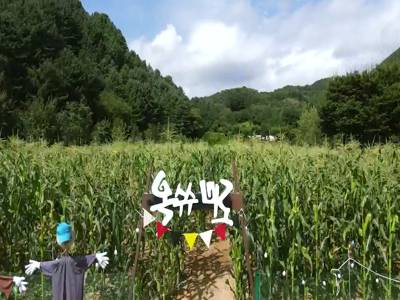 (영어) 2021년 가평군 홍보동영상 이미지