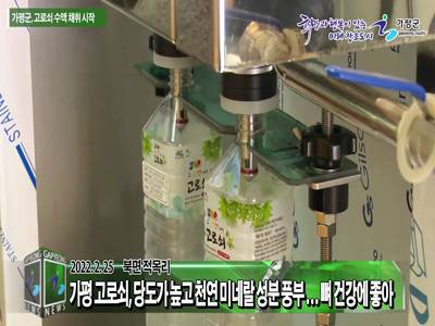 가평군 고로쇠 수액 채취 시작 이미지