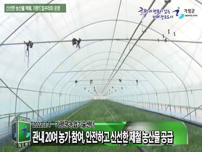 신선한 제철 농산물 택배 '가평 드림 꾸러미' 이미지