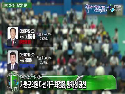 제8대 전국동시지방선거 이미지