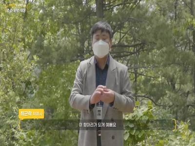 우리고장 문화재탐방(중종대왕 태봉) 이미지