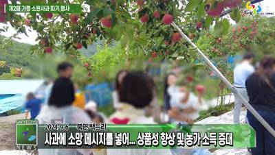 제2회 가평 소원 사과 따기 행사 이미지