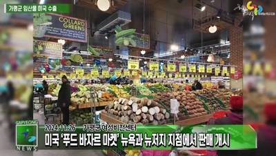 가평군 임산물 미국 수출 이미지