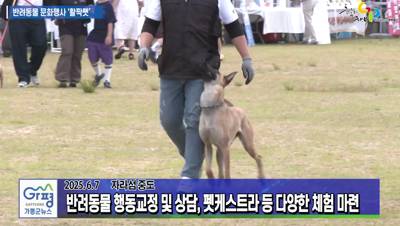 가평군 반려동물 문화행사 '활짝펫' 개최 이미지