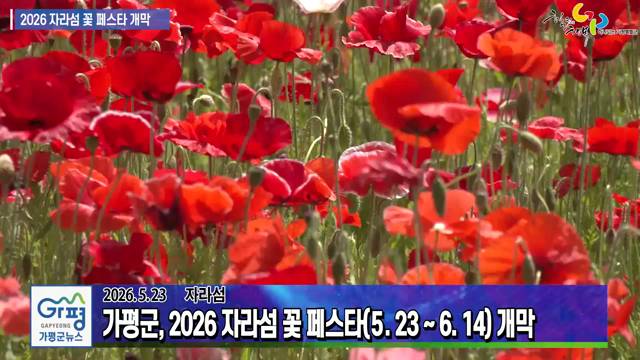 2026 자라섬 꽃 페스타(봄) 개막 이미지