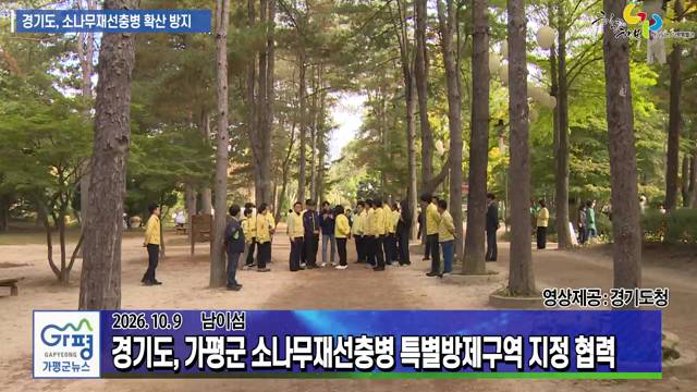 경기도 가평군 소나무재선충병 특별방제구역 지정 협력 이미지